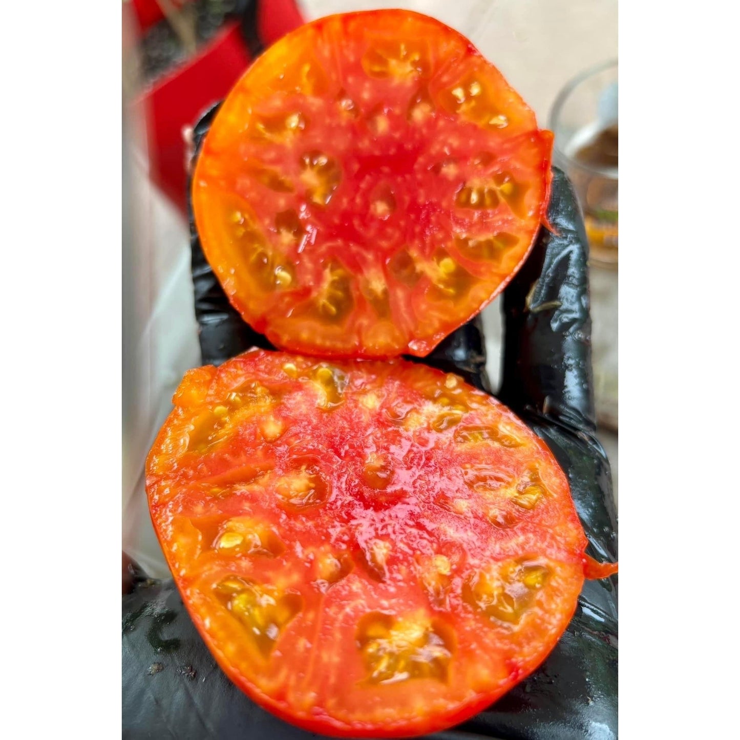 Chupa Chups Orange Tomato Seeds