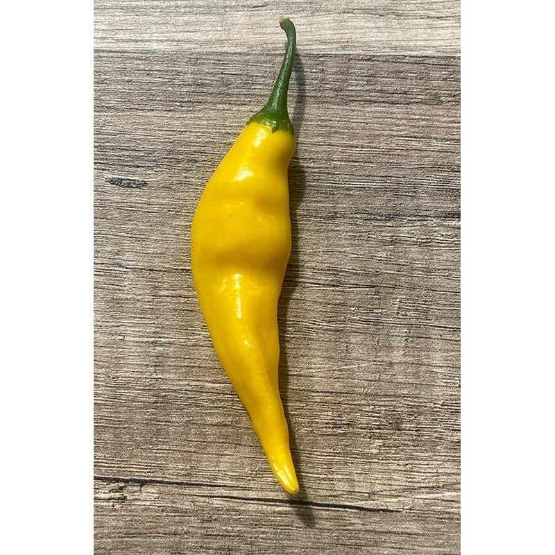 Aji Pineapple Pepper Seeds 10+ Florida Grown