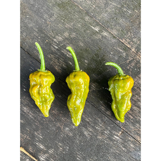 7 Pot Slimer Hot Pepper Seeds