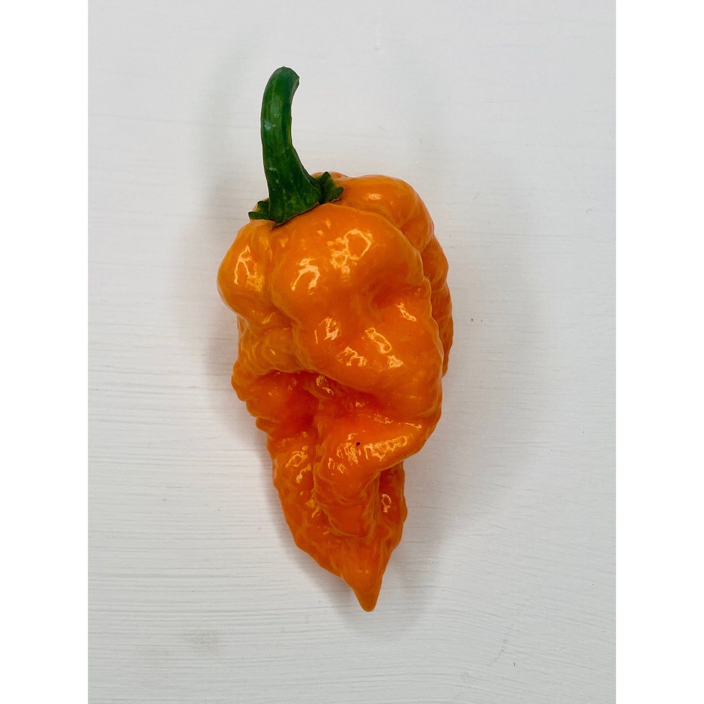 Bhutlah Scorpion HOT Pepper Seeds