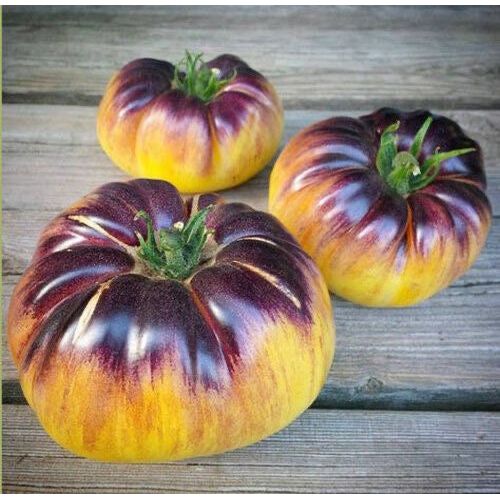 Sart Roloise Belgian Tomato Seeds