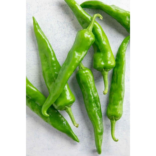 Hatch Lumbre Chile Pepper Seeds