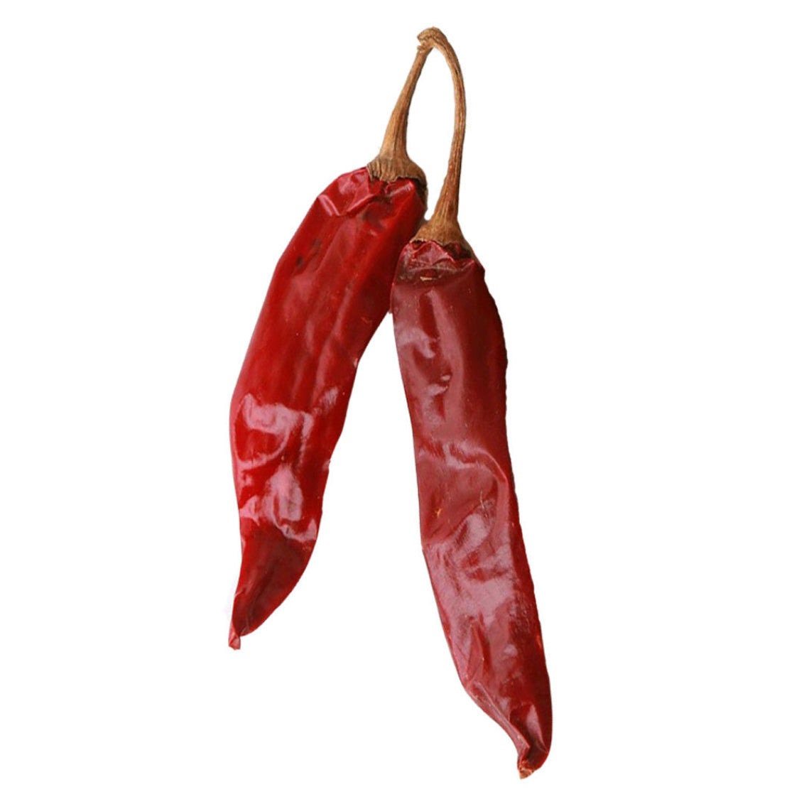 Hatch Sandia Chile Pepper Seeds