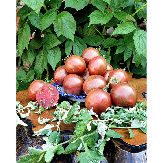 Moonlight Mile Tomato Seeds