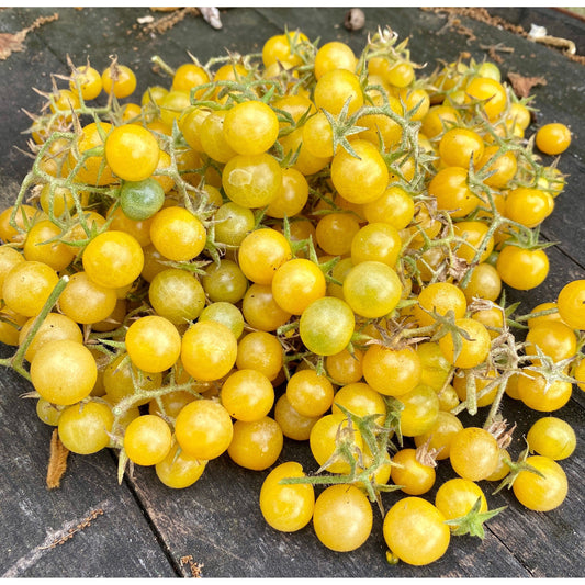 Everglades White Tomato Seeds