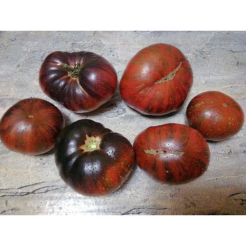 Rebel Starfighter Dippers Delight Tomato Seeds