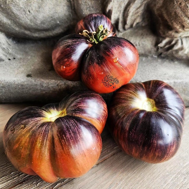 Rebel Starfighter Marsha's Beefsteak Tomato Seeds