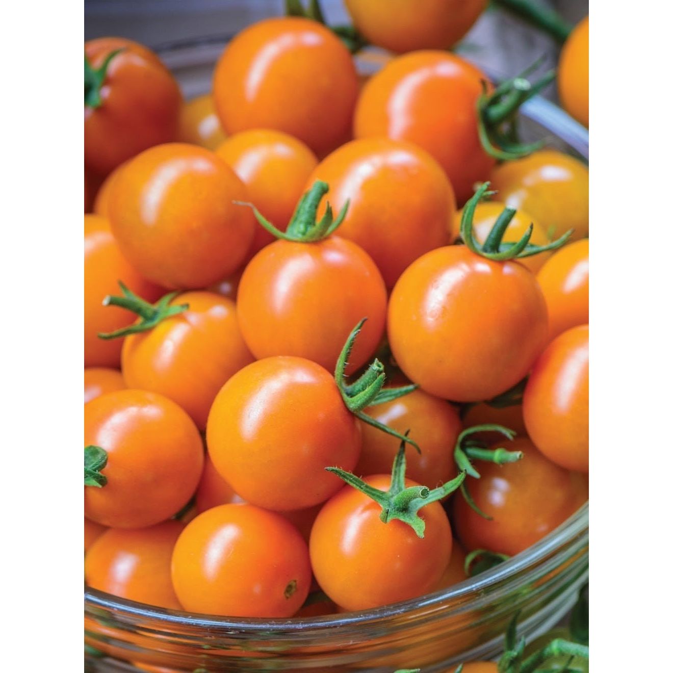 Honeycomb Hybrid Tomato Seeds