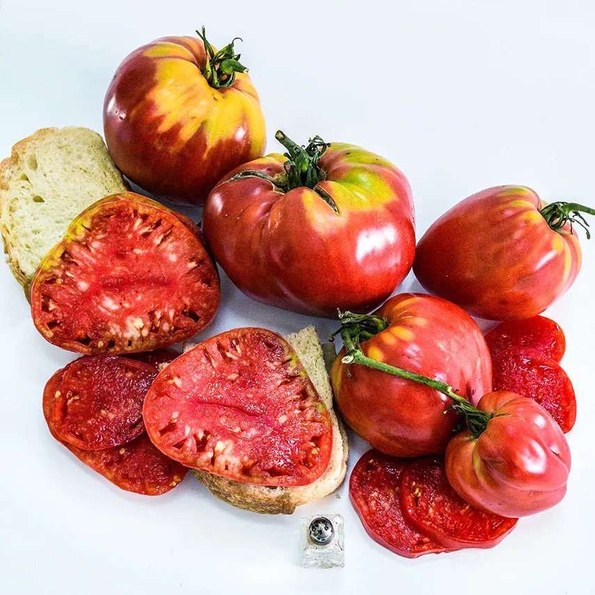 Bread and Salt Russian Heirloom Tomato Seeds